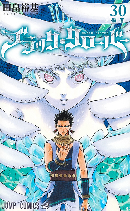 コミック 30巻