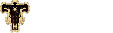 黒の暴牛